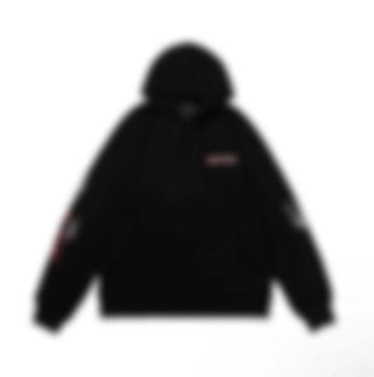 CH HOODIE
